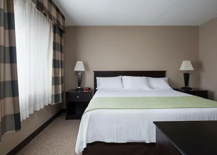 Hotel The Scandia *